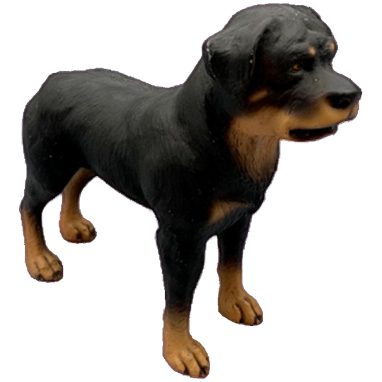 Vintage Beeld Rottweiler Handbeschilderd Italië 1