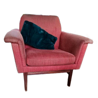 Fauteuils 2 Stuks Deens Design