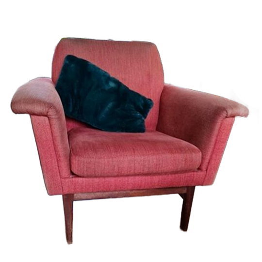 Fauteuils 2 Stuks Deens Design 1
