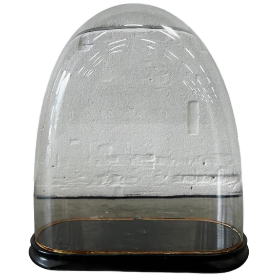 Vintage Xl Glazen Stolp / Ovale Glasvitrine 1