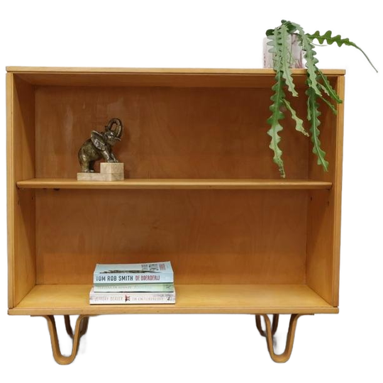 Bb01 | Cees Braakman Voor Pastoe | Boekenkast | Berkenserie 1