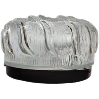 Vintage Plafondlamp Plafonnière Wandlamp Glas Organisch