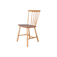 Pastoe Spine-Chair – 1960S