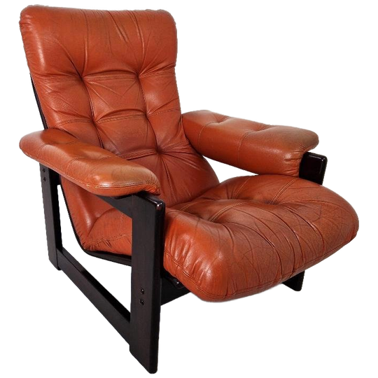 Vintage Coja Fauteuil Groot, 1960s 1
