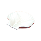 Shell Snack Dish thumbnail 1