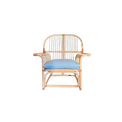 Rotan Fauteuil Met Kussens