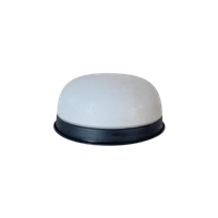 Melkglazen Plafond Lamp Plafonniere
