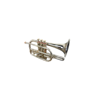 Cornet 'Bermont'