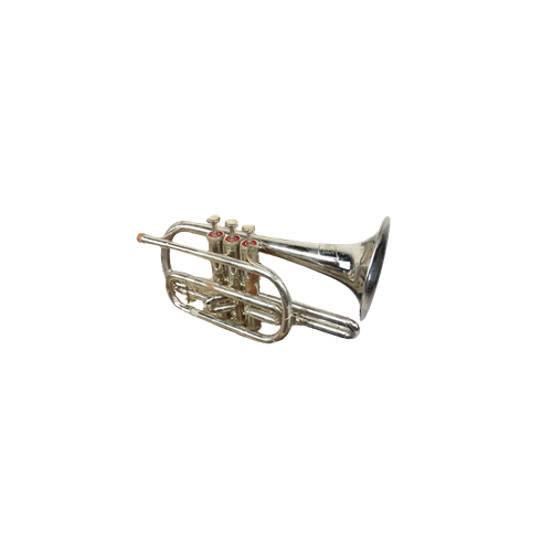 Cornet 'Bermont'