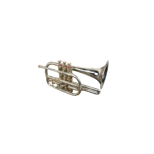 Cornet 'bermont' 1