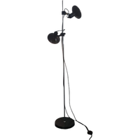Minimalistic Floor Lamp By Hiemstra Evolux