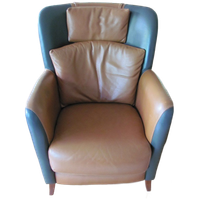 Leren Clubfauteuil, Leunstoel Calypso