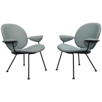 2x Fauteuil W.h. Gispen <<<brand>>>, 1960s (setprijs)