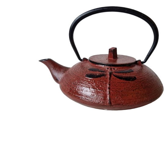 Gietijzeren Geëmailleerde Theepot Met Libelle, 21e Eeuw 1