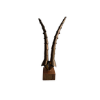 Sculptural Horns Art Piece thumbnail 1