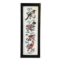 Borduursel Borduurwerk Schilderij Vogels Vogel | Kerst