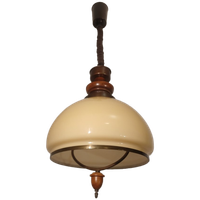 Vintage Mushroom Hanglamp