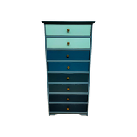 Grote Ladekast In Blauwtinten