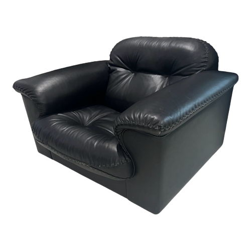 De Sede Armchair Ds101