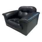 De Sede Armchair Ds101 thumbnail 1