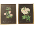Vintage Sixties Bloemen Ingelijste Botanische Kaarten P.J. Redouté thumbnail 1