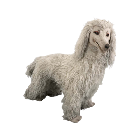 Fluffy Hond 59649 1