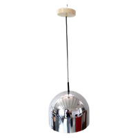 Raak Hanglamp – B1145 – Prijs Per Stuk - (rh50)