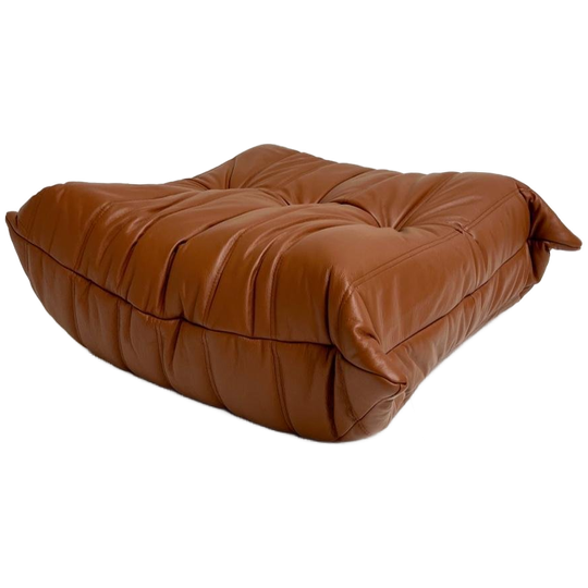 Leren Poef Van Michel Ducaroy Voor Ligne Roset 1