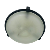 Plafonniere Matglas