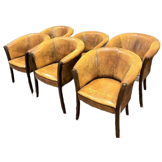 Set Van 6 Klassiek Engelse Schaap Lederen Stoelen 1