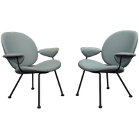 2x Fauteuil W.h. Gispen Kembo 1960s (setprijs)