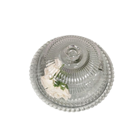 Vintage Glazen Plateau Met Stolp Arcoroc France 32 Cm