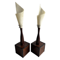 Set Van 2 Organisch Gevormde Lampen Met Rijke Houten Voet.