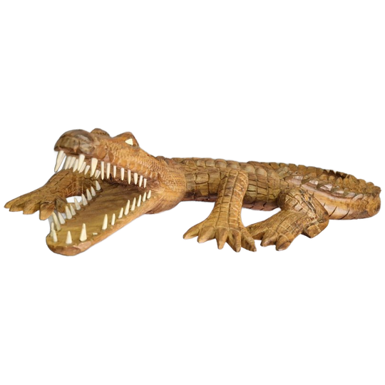 Super Gave Grote Krokodil Alligator 1