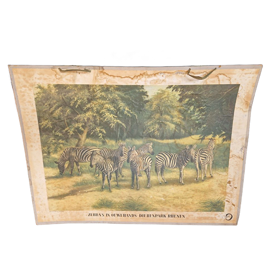 Oude Schoolplaat Rhenen Dierentuin 1