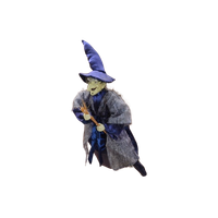 Vliegende Blauwe Heks