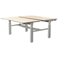 Solidesk Benchwerkplek, Wild Peren Blad, 160 X 80 Cm (2X), Hoogte Instelbaar Onderstel D.M.V. Han