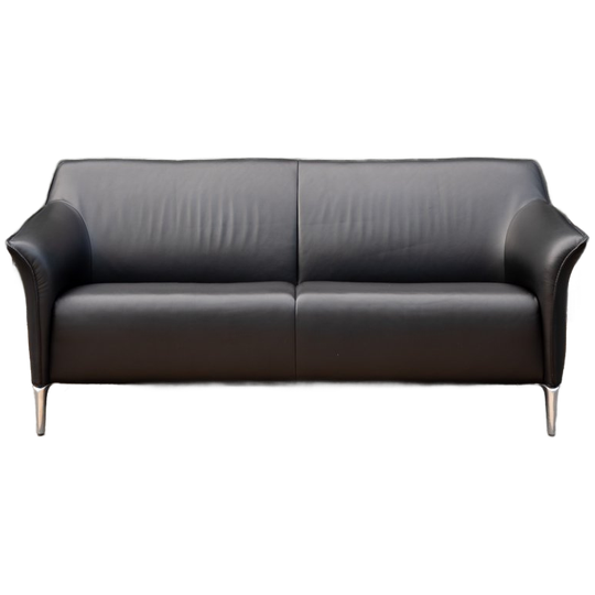 Leolux Mayon | 2,5-zits Leren Design Bank | Zwart 1