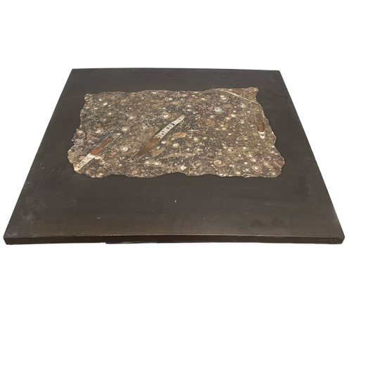 Coffee Table Atr. To Etienne Allemeersch, 1960s 1