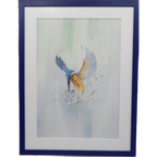 Aquarel "ijsvogel" Christine Desender thumbnail 1