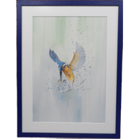 Aquarel "ijsvogel" Christine Desender