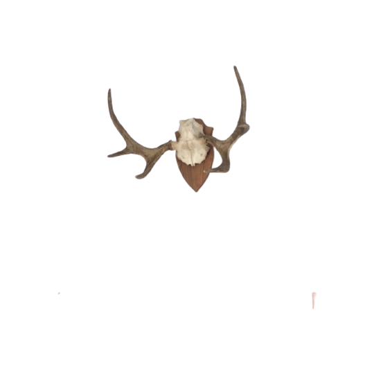Elandengewei 6 Takken 1