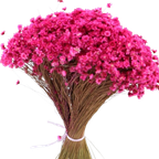 Glixia Starflower Roze Fuchsia 100 Gram thumbnail 1