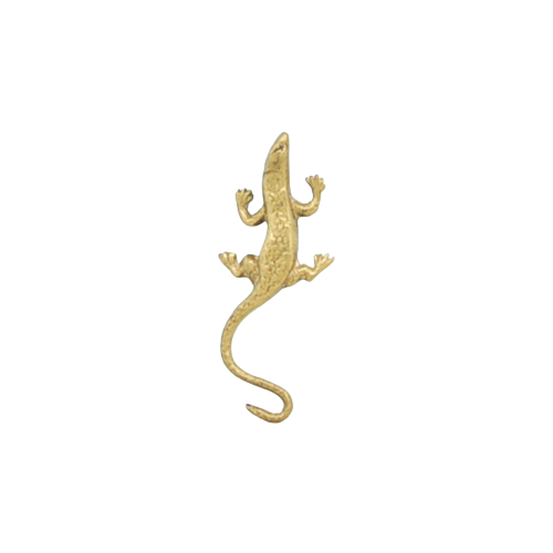 Gouden Bronzen Salamander