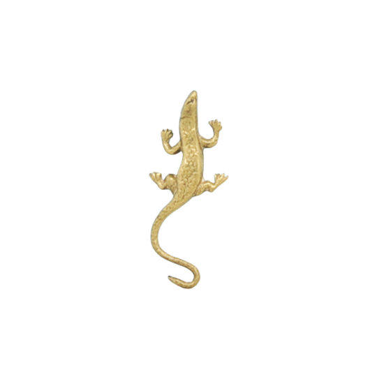 Gouden Bronzen Salamander 1
