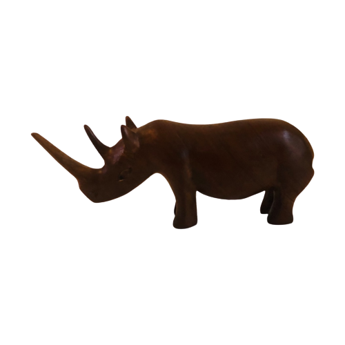 Neushoorn