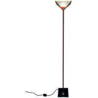 Vintage ‘papillona 750’ Vloerlamp – Tobia Scarpa – Flos