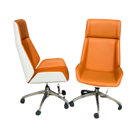 Set Van Twee Design Stoelen.