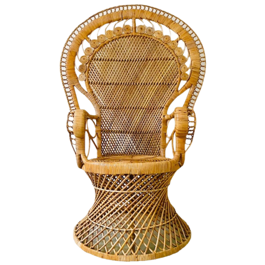 Vintage Rieten Pauwenstoel Peacock Chair Rotan 1970’s 1