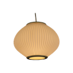 Perfecte Deense Hanglamp | Hoyrup-Verlichting | Lars Eiler Schiøler | Vintagelamp | Modern Uit He thumbnail 1